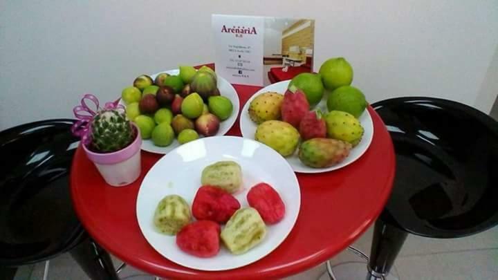 Arenaria B&B 아볼라 외부 사진